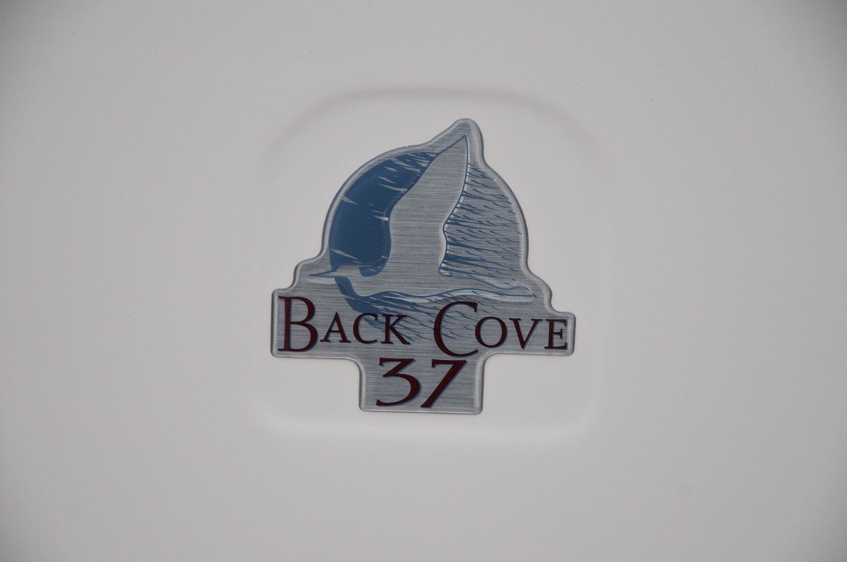 Back Cove 37